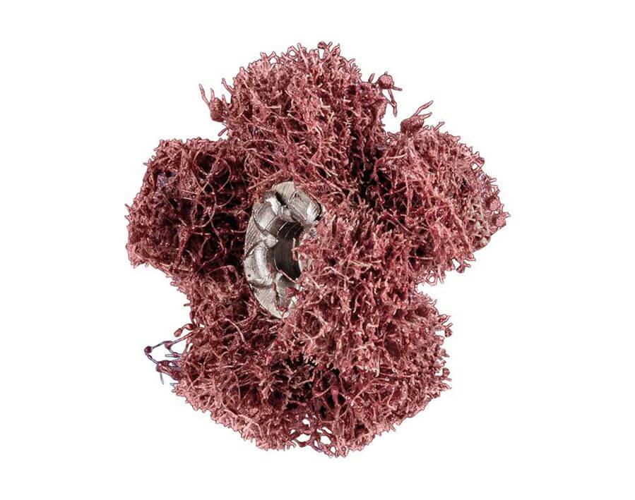 Schleifstern POLINOX