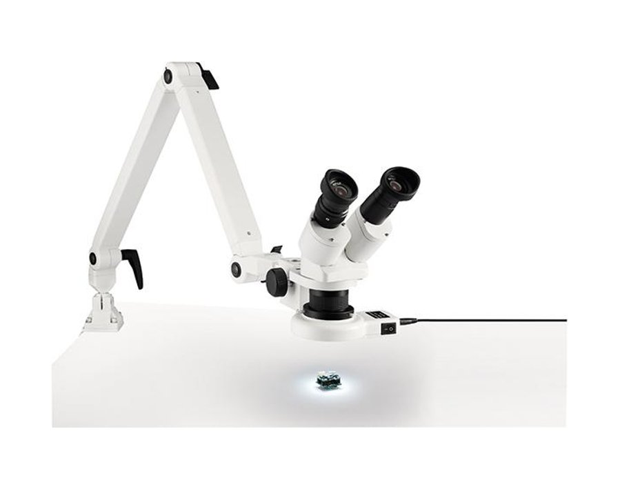Auflicht-Stereo-Mikroskop