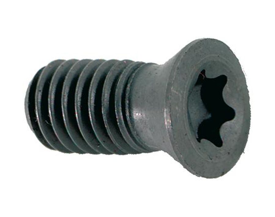 TORX®-Schraube für WSP