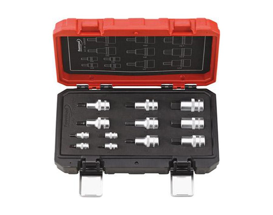 Kombinierte Schraubendreher-Einsatz-Garnitur 1/4" und 1/2" für Innensechskantschrauben