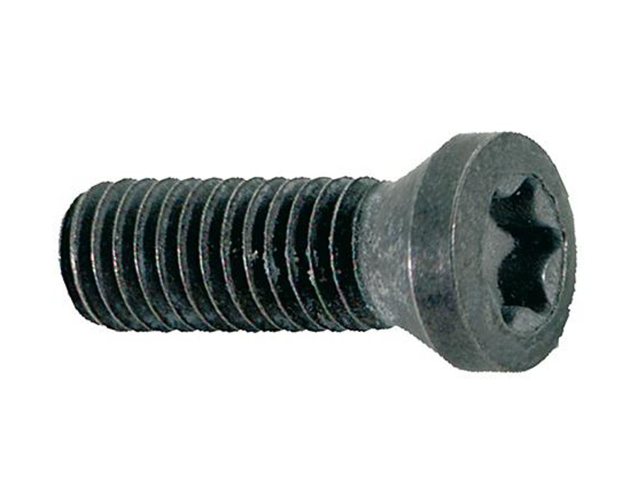 Spannschraube für WSP